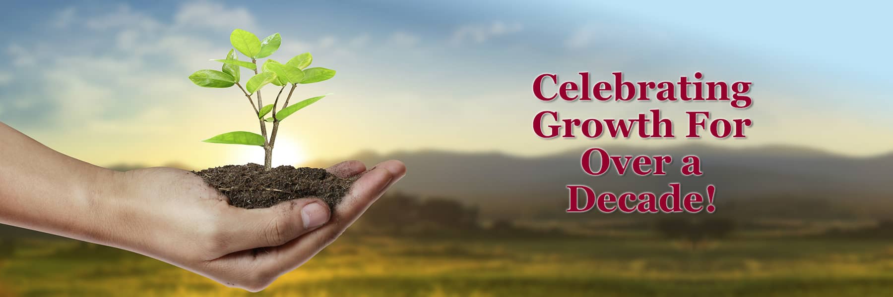 Celebrating Growth For Over a Decade!